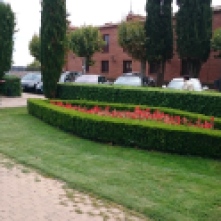 Rosengarten in Benavente
