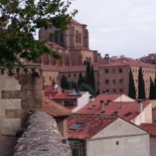 Aussicht auf alte Kathedrale von einem Park aus in Salamanca